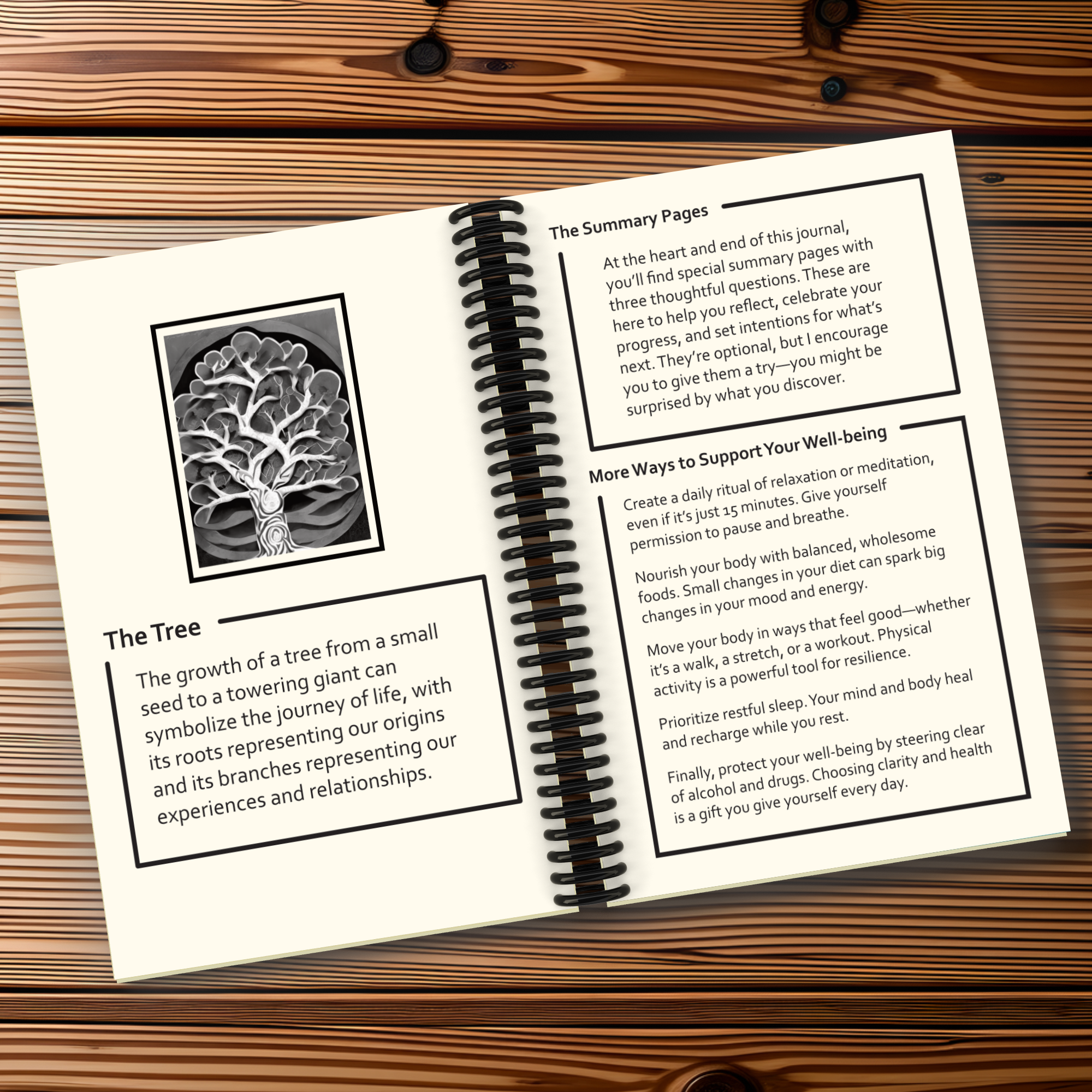 Sun And Shadow Daily Life Spiral-Bound Journal