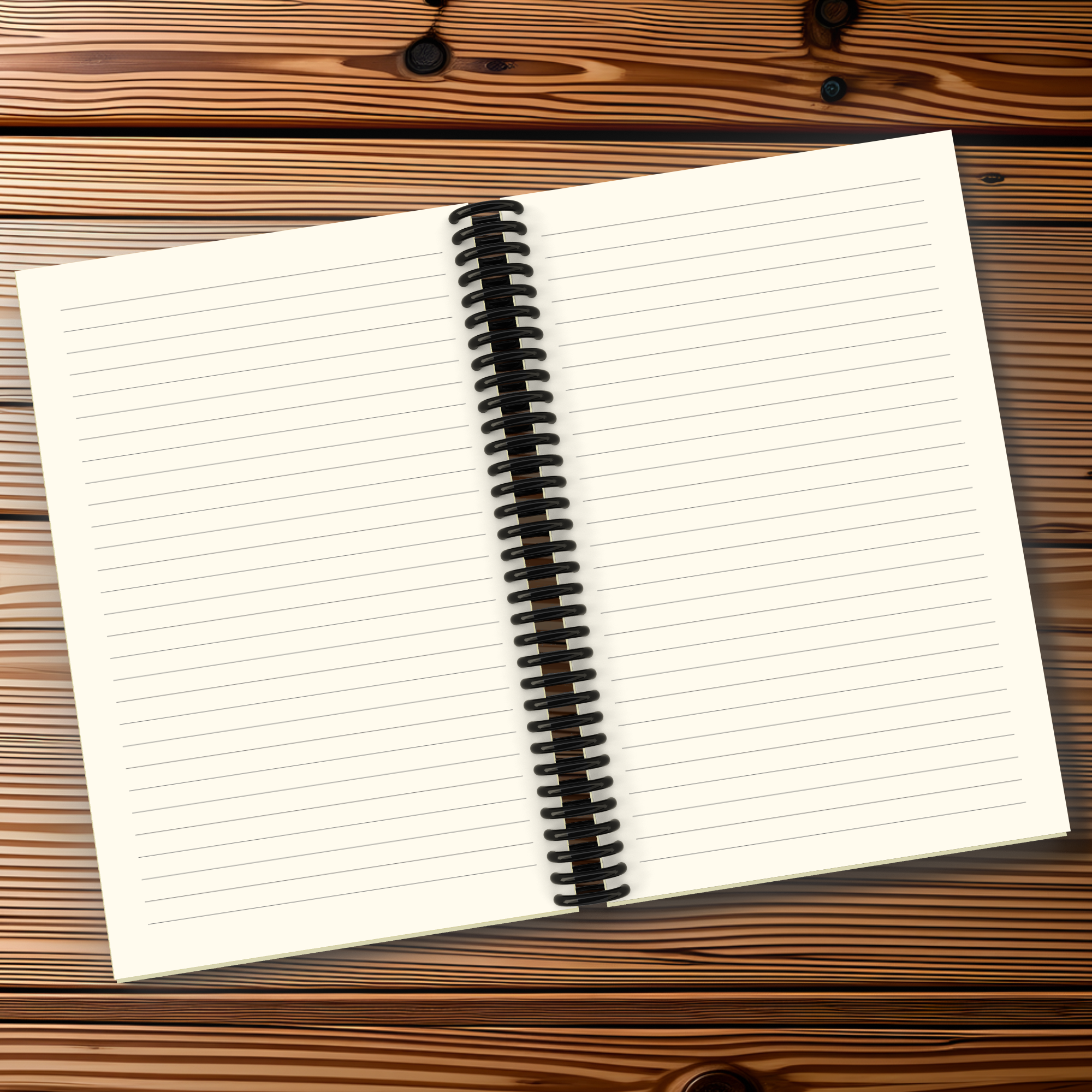 Sun And Shadow Daily Life Spiral-Bound Journal